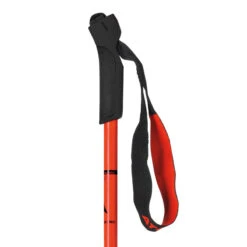 Atomic Pro Junior Poles