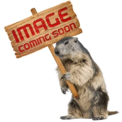 Madshus Race Pro Skate